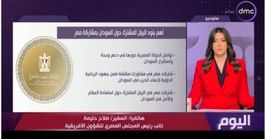 صلاح حليمة: البيان المشترك وضع خريطة طريق للتوصل لتسوية الأزمة السودانية