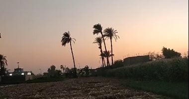 "بشائر الشتاء".. انخفاض درجات الحرارة والعظمى فى سوهاج 38 درجة (فيديو)
