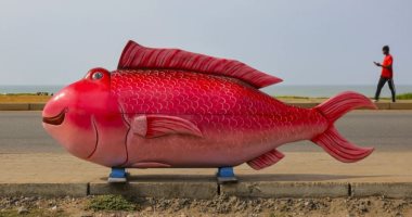 شئ ولا فى الخيال.. توابيت الموتى حسب مهنة المتوفى فى غانا