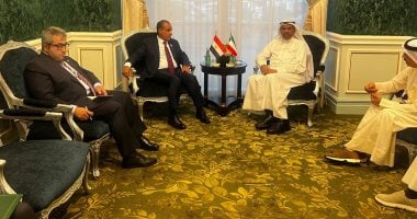 وزيرا خارجية مصر والكويت يؤكدان ضرورة وضع حد عاجل للحرب الإسرائيلية على غزة