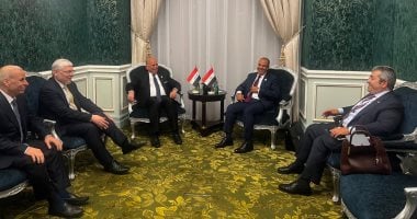 وزيرا خارجية مصر والعراق: إقامة دولة فلسطين السبيل الوحيد لإرساء الاستقرار