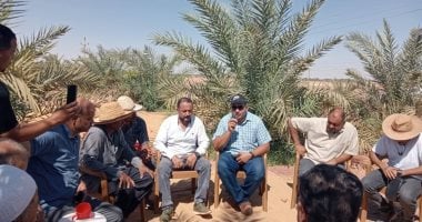 زراعة الوادى الجديد: تنفيذ ندوات إرشادية عن آفات النخيل وحماية محصول البلح