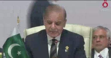 رئيس وزراء باكستان يدعو لوقف إطلاق النار بغزة وتعليق عضوية إسرائيل بالأمم المتحدة محمد شهباز شريف