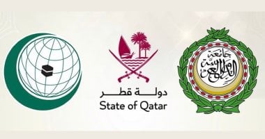 عضو بـ"مجلس النواب": نرفض الإساءة للرموز العربية ونطالب بوحدة الصف