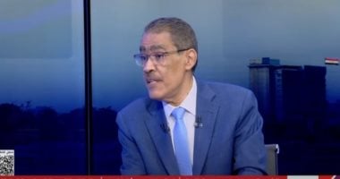 ضياء رشوان: لا توجد دولة في العالم تقول إنها مع تهجير الفلسطينيين