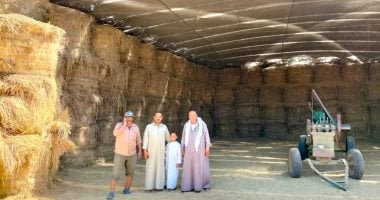 تجميع 12.8 ألف طن قش أرز منذ بداية الحصاد فى الشرقية