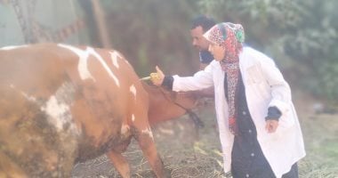 تحصين 160 ألف رأس ماشية فى الجيزة ضمن حملة الحفاظ على الثروة الحيوانية