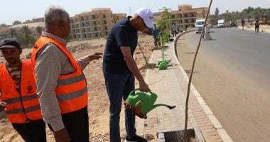 ضمن زراعة 2000 شجرة ظل.. محافظ أسوان يطلق حملة التشجير بطريق السادات