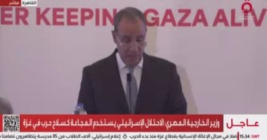 بدر عبد العاطى: لا بديل عن حل الدولتين وإقامة دولة فلسطينية مستقلة