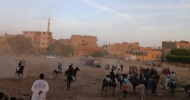 نزال الخيالة.. شاهد مهارة عشرات الفرسان فى مرماح "دنفيق" بقنا.. فيديو