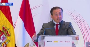 وزير خارجية إسبانيا: مصر شريك استراتيجي فى استقرار المتوسط