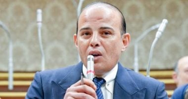 برلمانى: التوافق المصري – الإسباني يرسخ مركزية القضية الفلسطينية