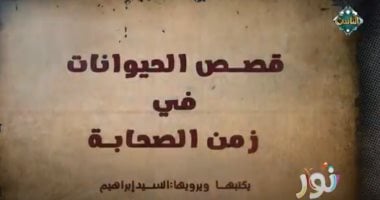 "نور" على قناة الناس يروي للأطفال قصة أم معبد وبركة سيدنا النبي فى الهجرة