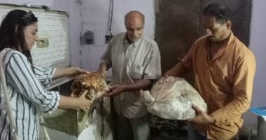 بيطرى المنيا يضبط أكثر من طن ونصف لحوم غير صالحة للاستهلاك الآدمى بمركز مغاغة