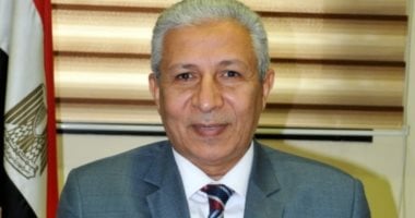 اختيار صلاح مصيلحى ضمن قائمة أفضل 2% من العلماء الأكثر تميزًا وتأثيرًا عالميًا