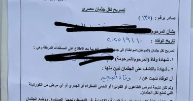 نام مصحيش.. تعاون استثنائى من سفارة وقنصلية مصر بالإمارات بعد وفاة شاب