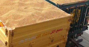 سوهاج تتصدر موسم توريد القمح 2025.. زيادة 20% عن المستهدف بناتج 186 ألفًا و254 طن.. صرف 2.5 مليار جنيه للمزارعين وأرقام قياسية وثقة متجددة بين الفلاح والدولة.. توسيع الرقعة الزراعية إلى 193 ألف فدان "صور"
