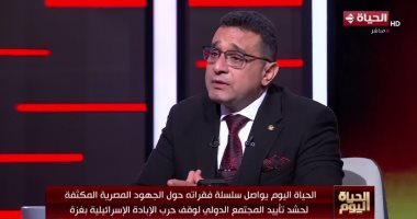 خبير مكافحة إرهاب لـ"الحياة اليوم": إسرائيل متورطة فى حرب عصابات وأهدافها لم تتحقق