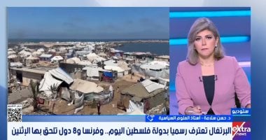 خبير: تزايد أعداد الدول المعترفة بدولة فلسطين يشكل دعما معنويا كبيرا للقضية