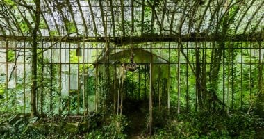 حدائق سرية.. 5 صور لأماكن زراعية مهجورة حول العالم