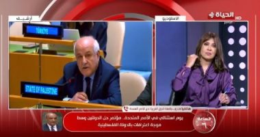 السفير ماجد عبد الفتاح: مؤتمر حل الدولتين انتصار تاريخى للقضية الفلسطينية