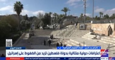 أستاذ علوم سياسية: الاعتراف بالدولة الفلسطينية تطور دولى هام سياسيا ودبلوماسيا