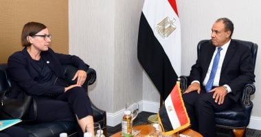 وزير الخارجية يستعرض جهود مصر لوقف الحرب على غزة