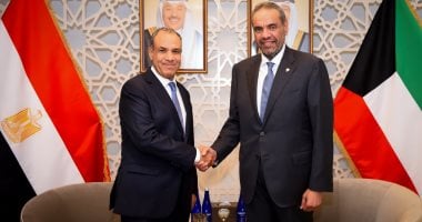 وزير الخارجية يؤكد رفض مصر القاطع لأي محاولات للمساس بأمن واستقرار الخليج