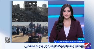 خبير: الاعتراف الدولى بدولة فلسطين خطوة تاريخية يجب استثمارها بآليات عملية