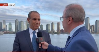 وزير الخارجية: رسالة مصر وقف فورى للحرب فى غزة وحل الدولتين سبيل التسوية