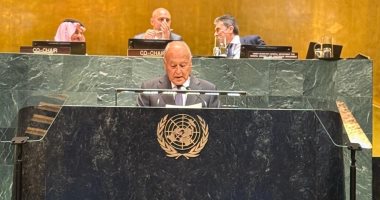أبو الغيط بمؤتمر حل الدولتين: الاعتراف بالدولة الفلسطينية مسار لا رجعة عنه