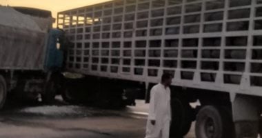 العناية الإلهية تنقذ الموقف.. تصادم تريلا محملة بأسطوانات بوتاجاز وأخرى فى قنا
