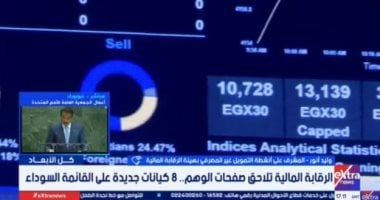 "الرقابة المالية" تحذر: صفحات وهمية تقدم قروضا استهلاكية خارج الأطر القانونية