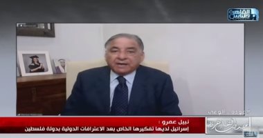 وزير فلسطينى سابق: الاعتراف بدولتنا انتصار كبير والقضية تمس أمن العرب