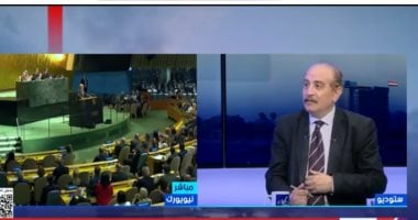 طارق فهمي: مصر تركز على حل الدولتين والعودة إلى المرجعيات الدولية