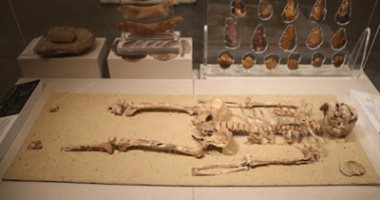 متحف الحضارة يستقبل رئيس سنغافورة.. أنت كمان ممكن تزوه اعرف مواعيده