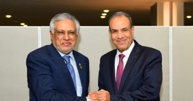 وزير الخارجية يلتقي نظيره الباكستاني ويتفقا على ضرورة إنجاز اتفاق وقف إطلاق النار في غزة