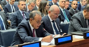 وزير الخارجية فى اجتماع التحالف الدولى لحل الدولتين: مصر ترفض كل محاولات التهجير