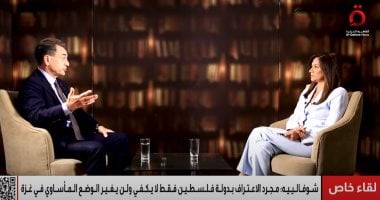 السفير الفرنسي لدى مصر: الاعتراف بدولة فلسطين فقط لا يكفي ولن يغير الوضع المأساوي في غزة