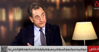 سفير فرنسا بالقاهرة: ندعم جهود مصر وقطر والولايات المتحدة لوقف إطلاق النار في غزة