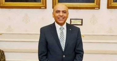 برلمانى: الموقف المصري حائط صدّ في وجه مخططات تصفية القضية الفلسطينية