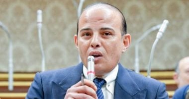 برلمانى: إعلان دول أوروبية اعترافها بالدولة الفلسطينية يعكس نجاح الجهود المصرية