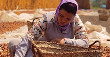 أحلام مؤجلة تحت شمس الحقول.. "فتيات" يعملن باليومية من أجل لقمة العيش: "بنسعى علشان نجيب اللى نفسنا فيه".. وبننزل الأرض من الفجر ونشتغل فى عز الحر وربنا بيعنا.. وكلمة أمهاتنا بتنسينا كل التعب