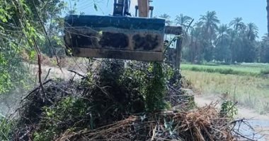 زراعة الأقصر تعلن بدء أعمال رفع كفاءة مسقى الدابودي بقرية الحلة.. صور