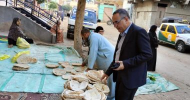 ضبط 190 مخالفة وحجز 3 آلاف عبوة معسل خلال حملة تموينية بالدقهلية