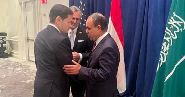 وزير الخارجية يؤكد للجانب الأمريكى ضرورة منع محاولات تهجير الفلسطينيين