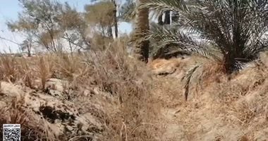 أهالى عزب قرية البرنس بالفيوم يشكون بوار نحو 2000 فدان لعدم وصول مياه الرى