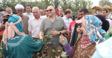 محافظ القليوبية يتابع حصاد "الذهب الأبيض" بكفر شكر: القطن المصري علامة مسجلة عالميا