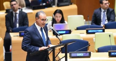 وزير الخارجية يدعو إلى ضرورة نزع السلاح النووى