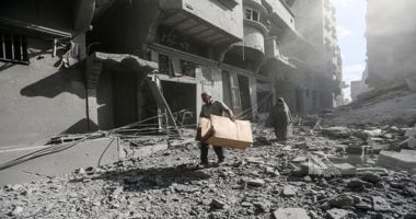 نقابة البيطريين تعلن عن تقديم أوجه المساعدة لإعمار قطاع غزة